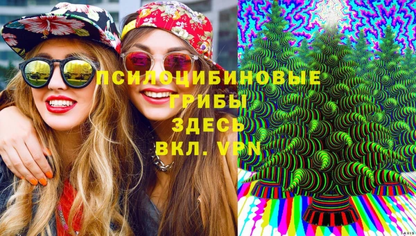 амф Алексин